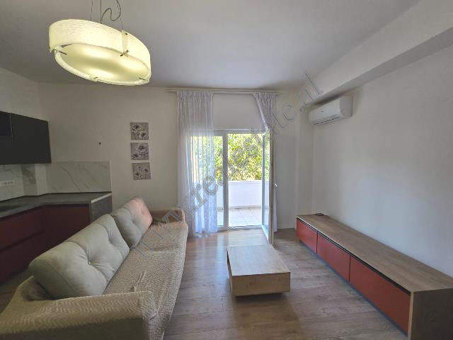 One Bedroom Apartment for Rent in Margarita Tutulani Street in Tirana, Albania